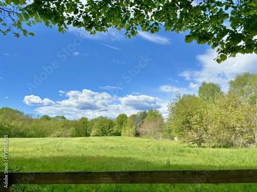 parco della quassa in lombardia, italia, quassa park in lombardy, italy