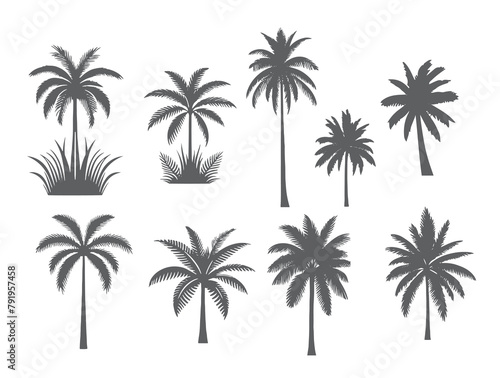 vector set of tropical palm and tree silhouettes. EPS  Set tropical palm trees with leaves  mature and young plants  black silhouettes isolated on white background. Vector