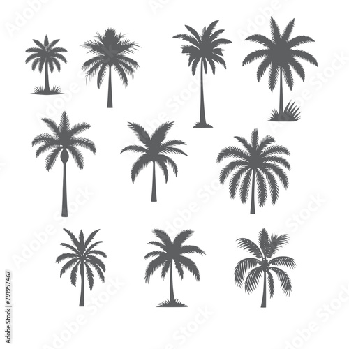 vector set of tropical palm and tree silhouettes. EPS ,Set tropical palm trees with leaves, mature and young plants, black silhouettes isolated on white background. Vector