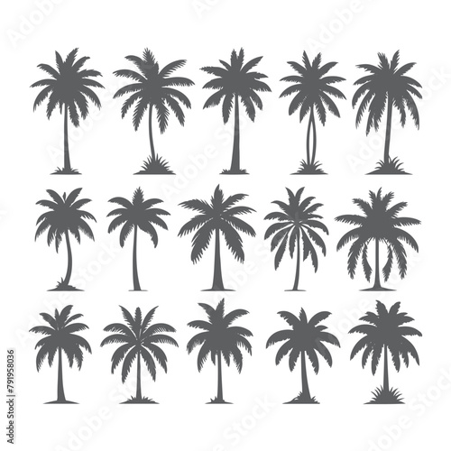 vector set of tropical palm and tree silhouettes. EPS ,Set tropical palm trees with leaves, mature and young plants, black silhouettes isolated on white background. Vector