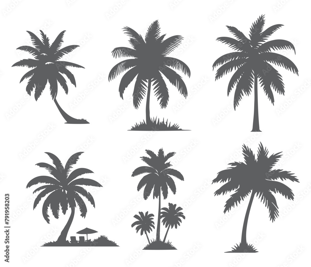 vector set of tropical palm and tree silhouettes. EPS ,Set tropical palm trees with leaves, mature and young plants, black silhouettes isolated on white background. Vector vector set of tropical palm and tree silhouettes. EPS ,Set tropical palm trees with leaves, mature and young plants, black silhouettes isolated on white background. Vector