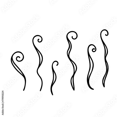 Seaweeds, algae. Curled plants vector illustration in simple doodle style isolated on white background.