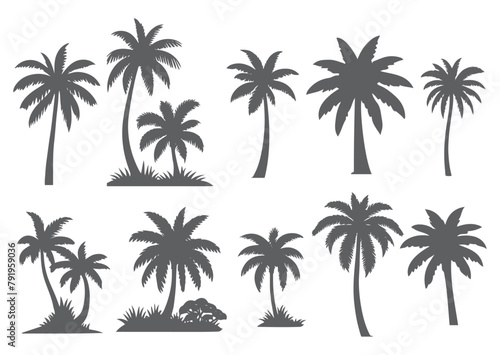 vector set of tropical palm and tree silhouettes. EPS ,Set tropical palm trees with leaves, mature and young plants, black silhouettes isolated on white background. Vector