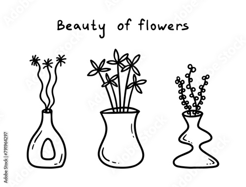 Doodle set of cute flowers in vases and pots isolated on white background. Hand drawn bouquet drawing. Vector illustration. Perfect for cards, decorations, logo.