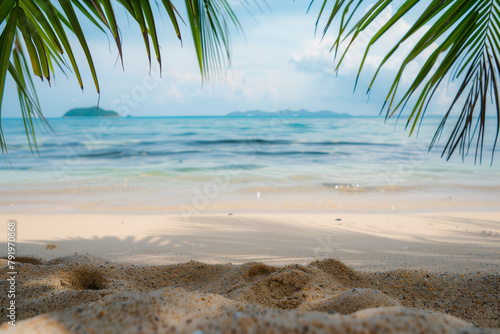 Sandy tropical beach background. Palm leaves in the top corners making frame. High quality photo