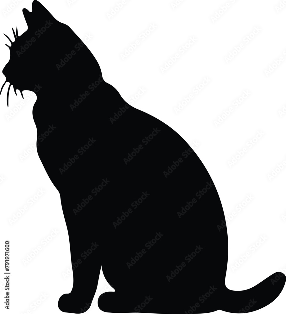 American Wirehair Cat silhouette