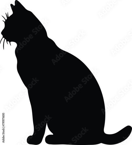 American Wirehair Cat silhouette photo