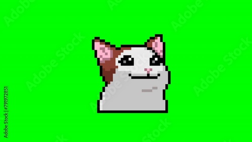 Funny cat video, pixel art meme