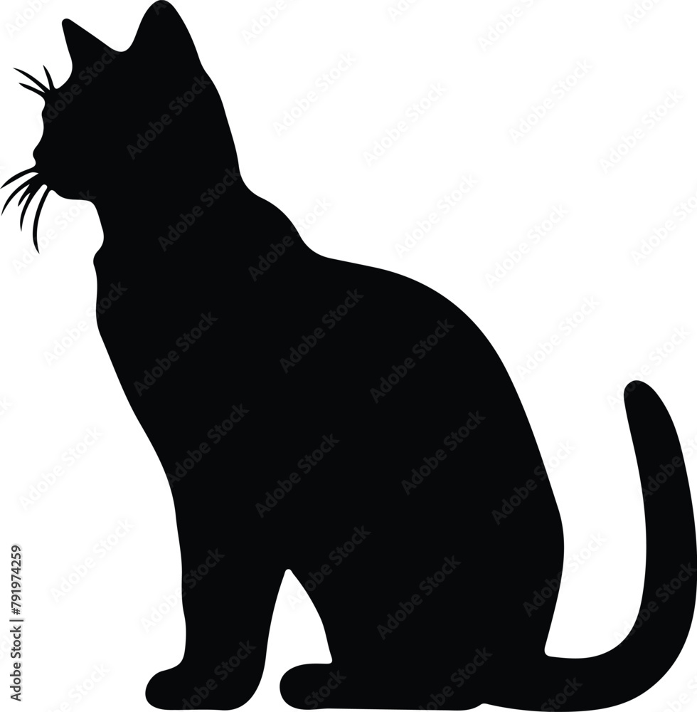 Burmilla Cat silhouette Burmilla Cat silhouette