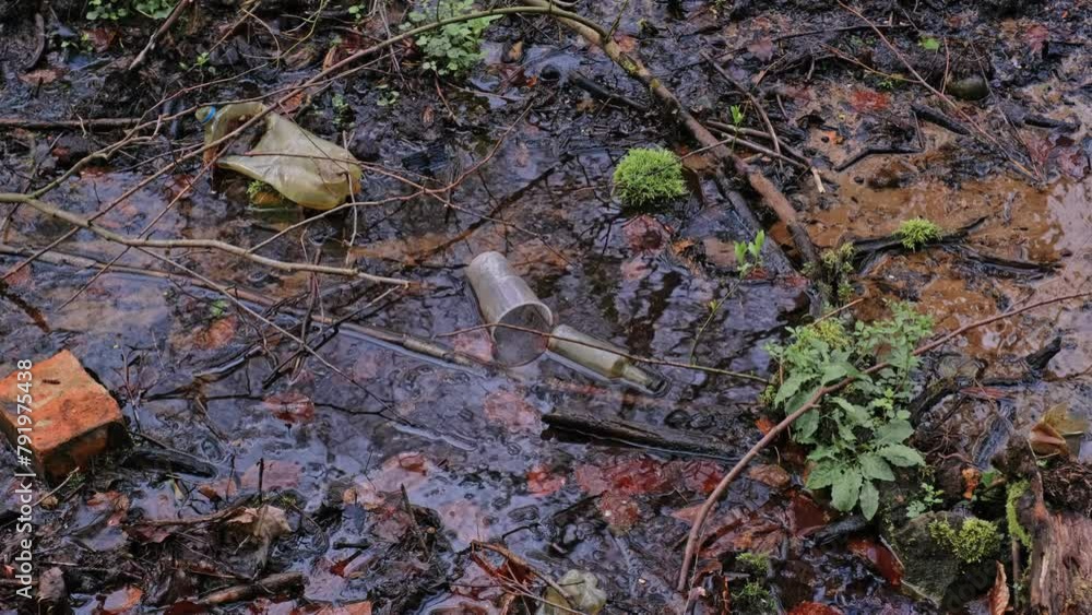 Forest Creek Water Stream Polluted with Glass and Plastic Bottles Garbage Trash Forest Creek Water Stream Polluted with Glass and Plastic Bottles Garbage Trash