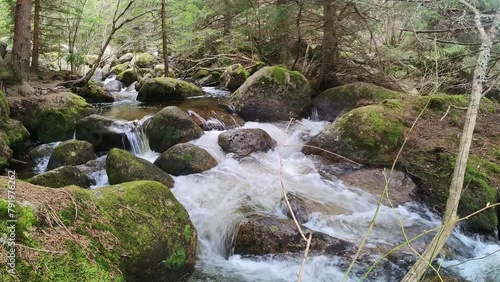 Forest river Cascading Over Rocks in a Lush Woodland