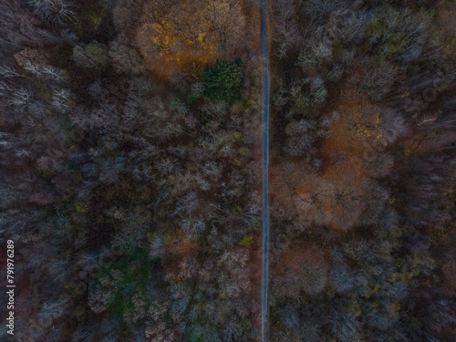 Aerial top down of road and forest during Fall around abandoned coal town Centralia Pennsylvania photo