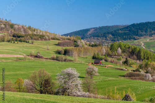 wiosenna panorama w Beskidach z widokiem na góry
