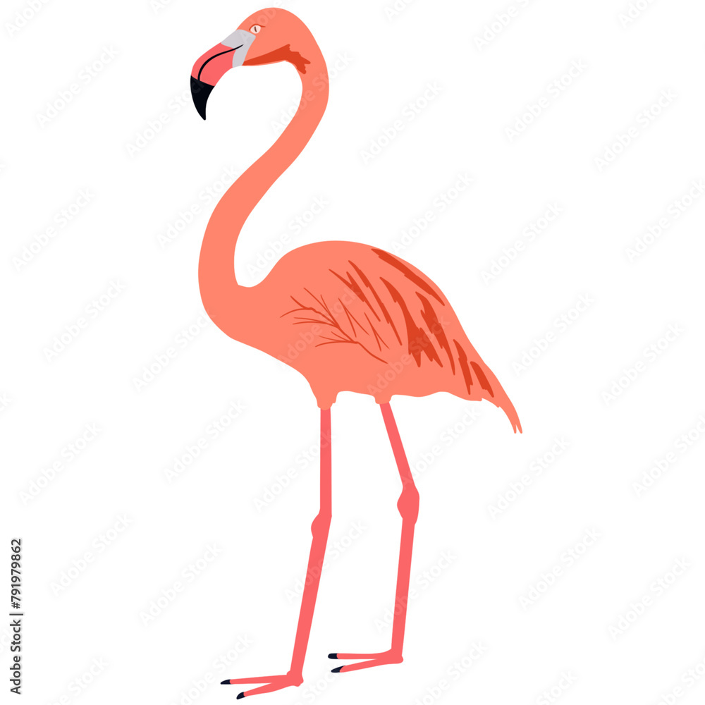 Fototapeta premium pink flamingo