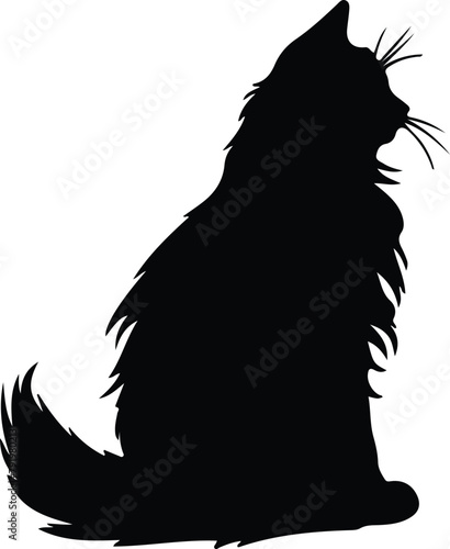 Maine Coon Cat silhouette