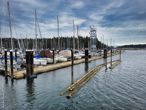 A View of Townsite Marina and Newcastle Island Nanaimo, Vancouver Island, British Colombia, Canada photo