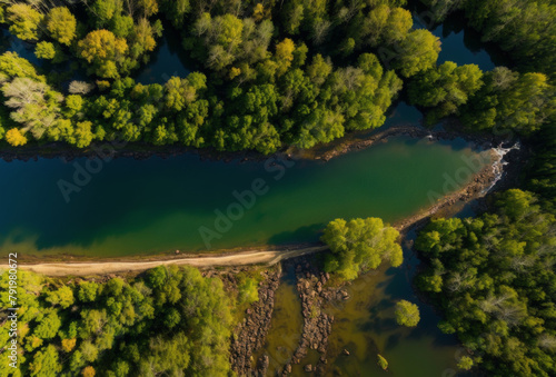 Drone shot over a forest showing a snaking river at sunset  golden light spilling over. AI generated.