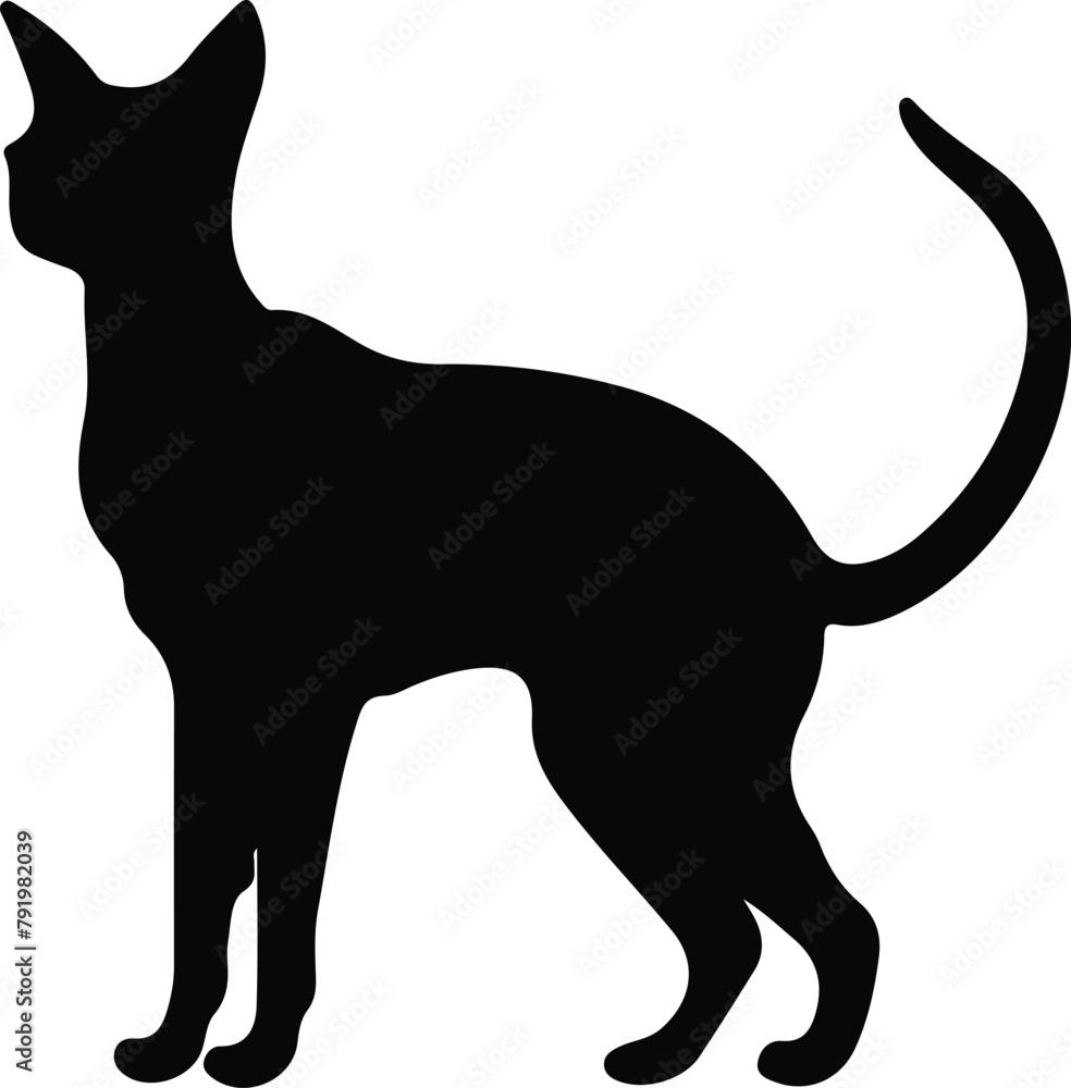 Oriental Shorthair Cat silhouette