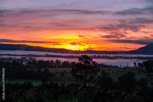 Thung Salaeng Luang National Park Savanna of Thailand