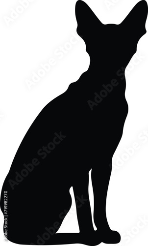 Peterbald Cat silhouette