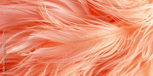 Trendy peach feather texture close up. Abstract