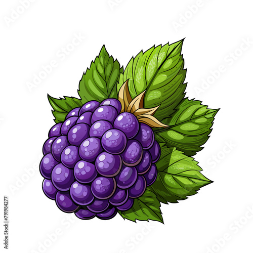 Blackberry fruit berry summer cartoon style on white background