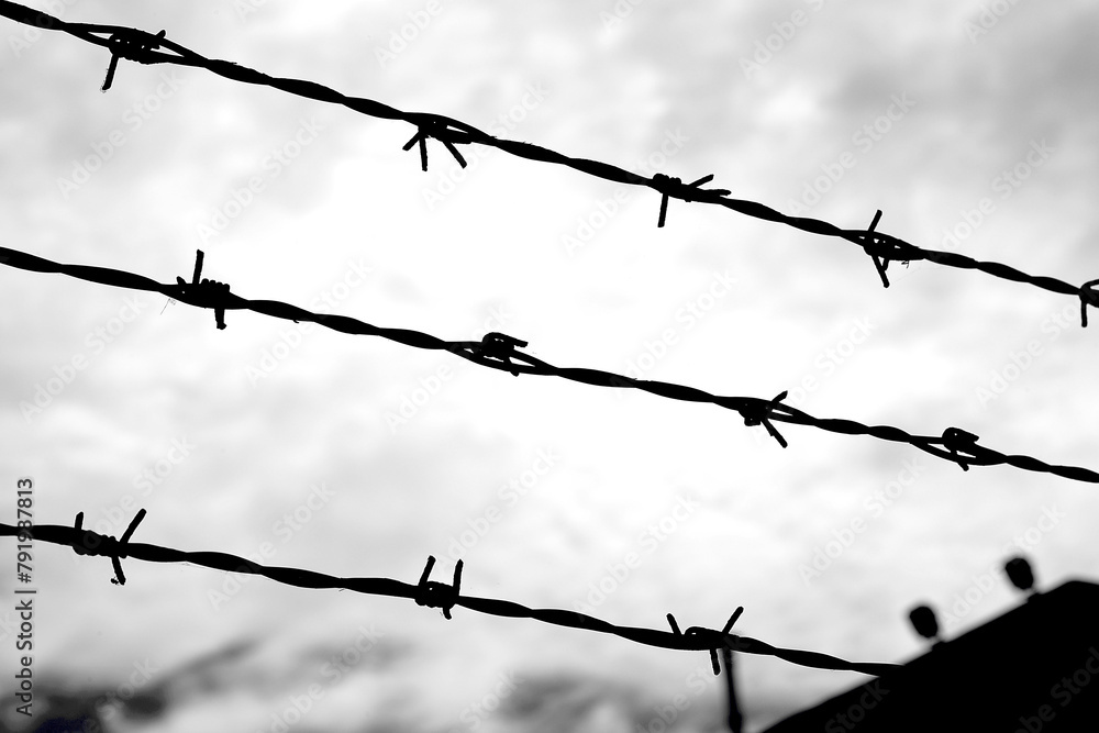 Three strands of barbed wire on the impassable border of the protected area in black and white effect Three strands of barbed wire on the impassable border of the protected area in black and white effect
