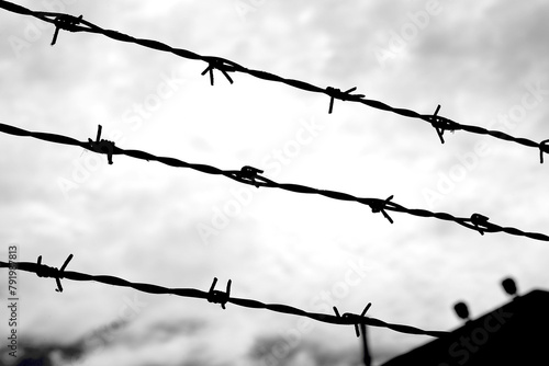 Three strands of barbed wire on the impassable border of the protected area in black and white effect