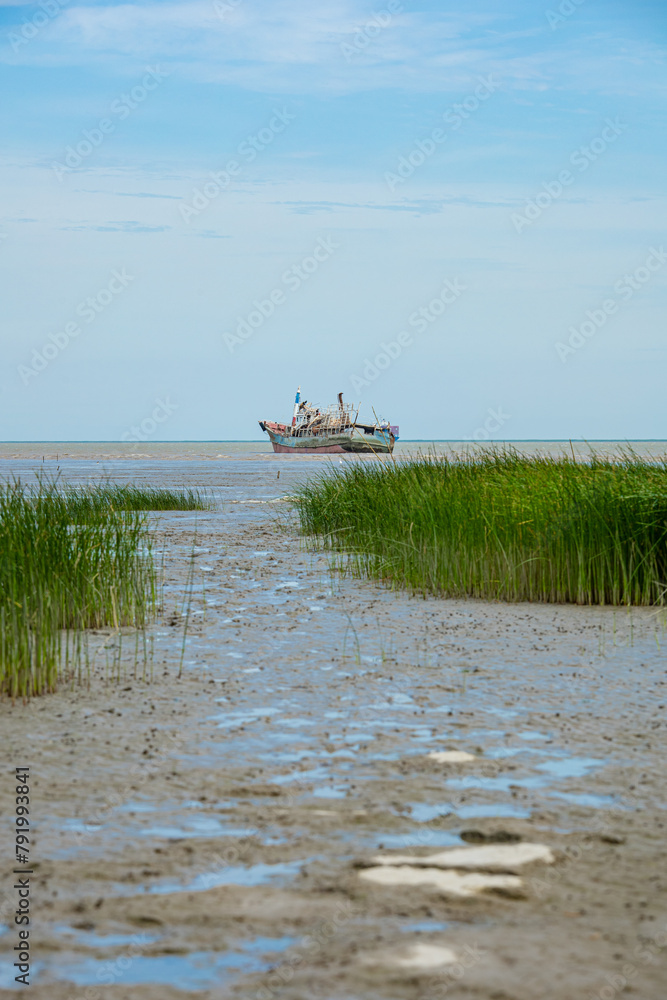 Hengsha Island, Chongming District, Shanghai-Wetland Scenery Hengsha Island, Chongming District, Shanghai-Wetland Scenery