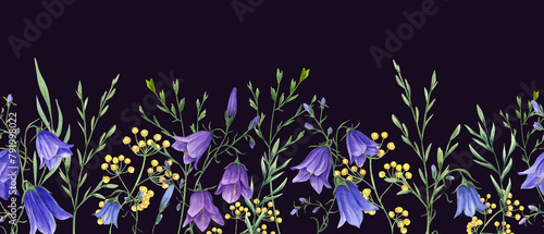 Campanula, wild meadow plants. Blue, yellow flowers. Floral seamless horizontal border. Watercolor ornate isolated on black background. Panoramic illustration with summer herbs for textile, wrapping.