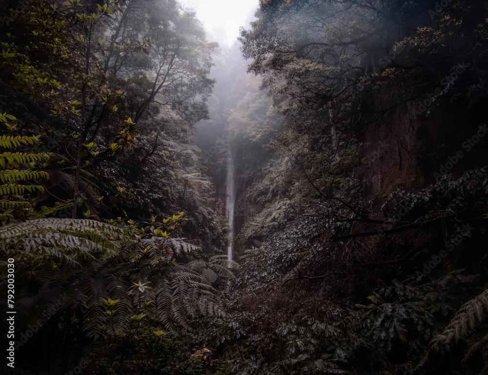 Obraz premium A waterfall in a dark forest on San Miguel island, Azores. 