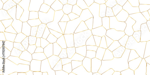 Abstract white crystalized broken glass background .black stained glass window art vector background . broken stained glass golden lines geometric pattern .