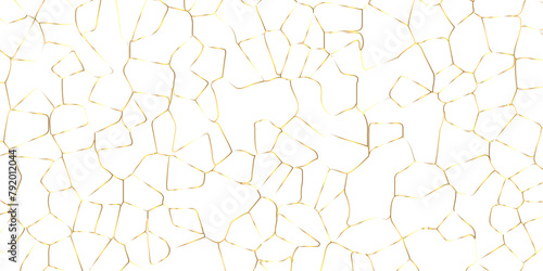 Abstract white crystalized broken glass background .black stained glass window art vector background . broken stained glass golden lines geometric pattern .