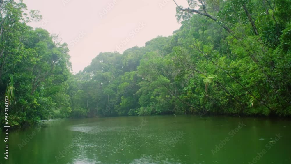 River flowing in rainforest of Madagascar island. River flowing in rainforest of Madagascar island.