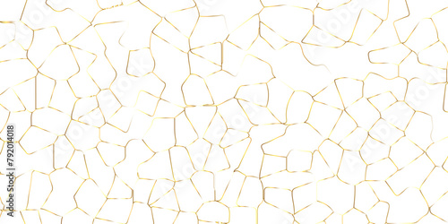 Abstract white crystalized broken glass background .black stained glass window art vector background . broken stained glass golden lines geometric pattern .