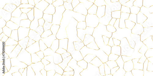 Abstract white crystalized broken glass background .black stained glass window art vector background . broken stained glass golden lines geometric pattern .