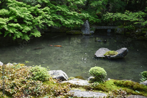 蓮華寺　池泉鑑賞式庭園　京都市左京区 photo