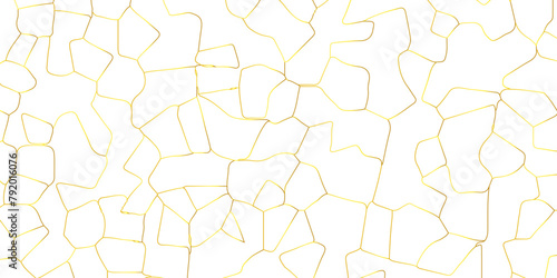 Abstract white crystalized broken glass background .black stained glass window art vector background . broken stained glass golden lines geometric pattern .