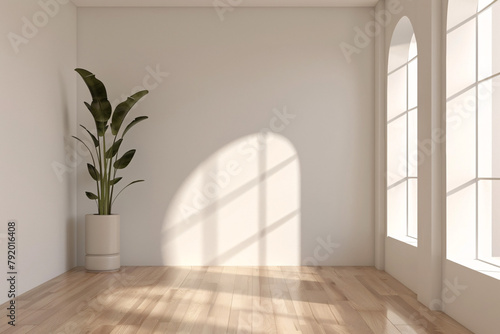 Room interior mock up with plant and window