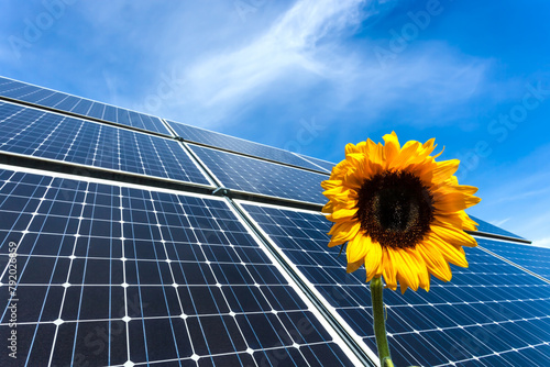 Beautiful View of Solar Panel with Sunflower  4K Image