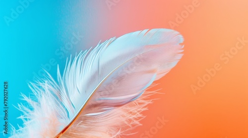 Macro photography of a white feather on a blue and peach background, resembling a wing or fashion accessory.  © Helen-HD