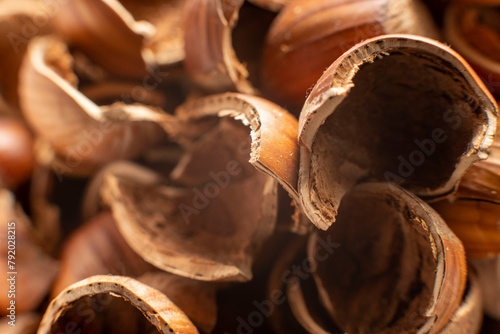 FILBERT HAZELNUT SHELLS BULK - close macro photo