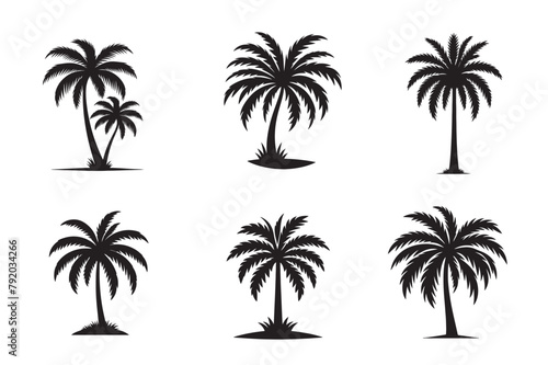 Palm Tree Silhouette Black And White Vector Art Illustration Set