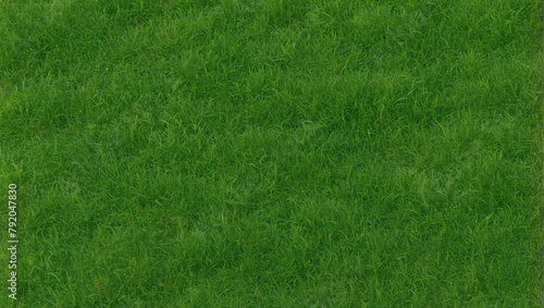 Vibrant green grass texture ideal for adding a natural touch to your designs.