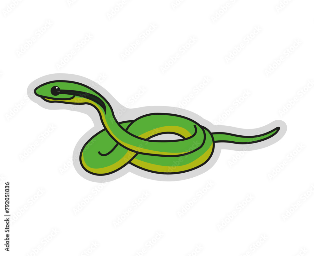 Fototapeta premium Serpiente loro mexicano