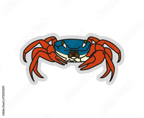 Cangrejo Azul