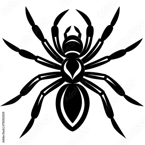 Spider vector silhouette 