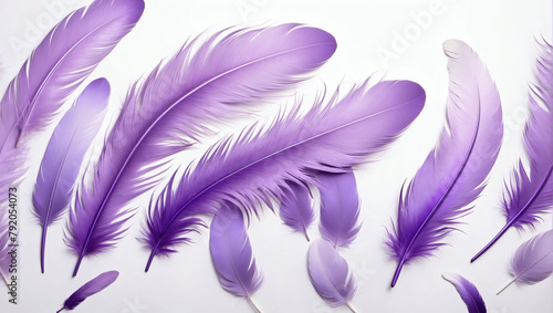 Beautiful Abstract Light Purple Feathers on White Background © xKas