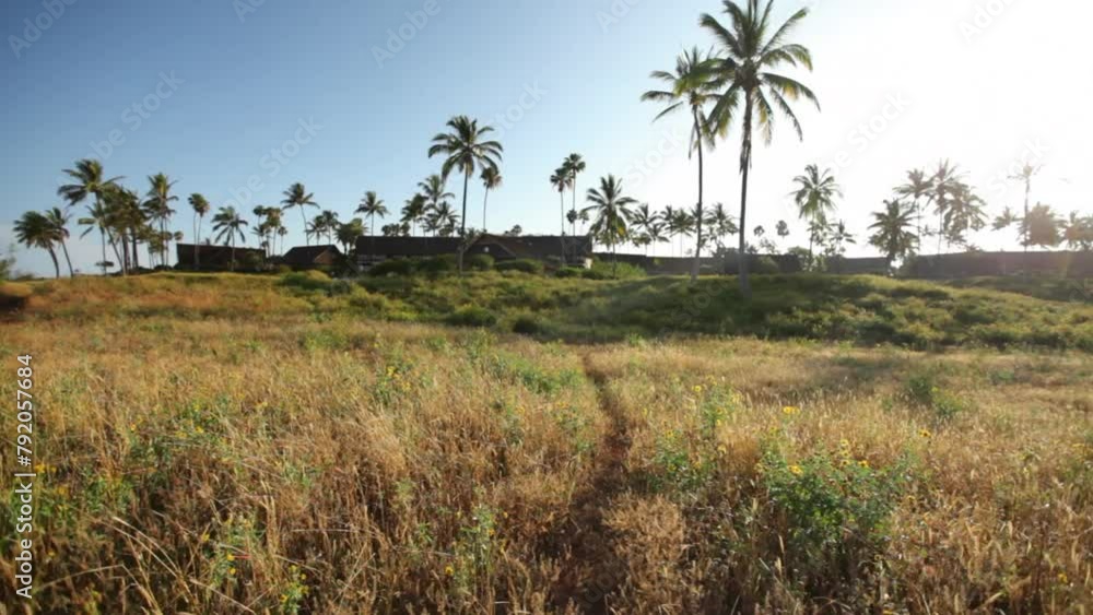 Narrow grass path leading towards building of tropical island Narrow grass path leading towards building of tropical island