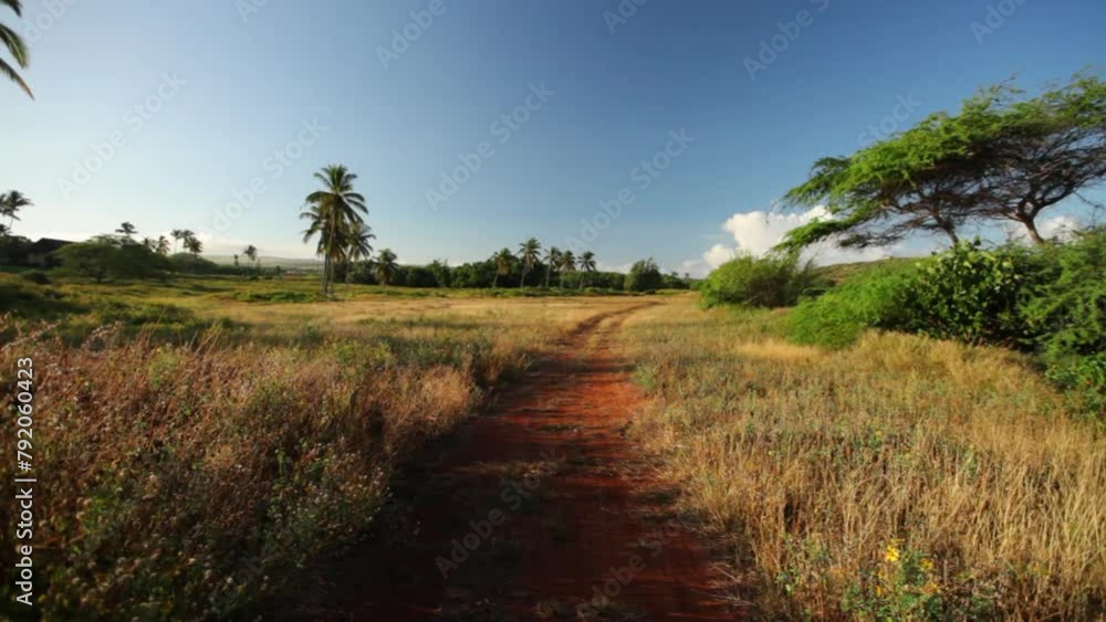Dirt path in grassy field of island Dirt path in grassy field of island